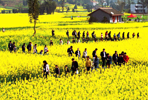 乡村旅游让中国农民在家门口创业致富