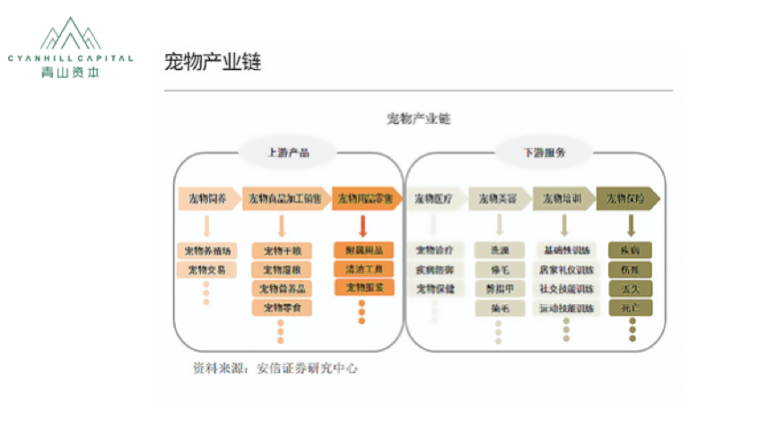 千亿宠物市场爆发前夜，你还有这几个突破口 