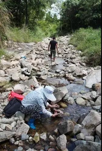 “那么多人顶着大太阳在河滩上捡石头，幻想着一夜暴富。”附近一名从事人力资源工作的村民坦言，看到这么多人在滩上抢石头，觉得浪费劳动力，“有这样的闲工夫，还不如去附近的工厂里打工赚钱。 ”