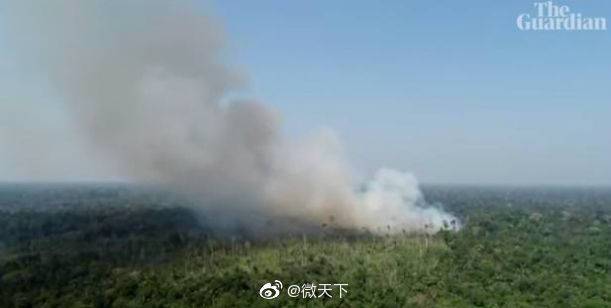 苹果捐款修复雨林 库克表示亚马逊火灾让他很悲痛