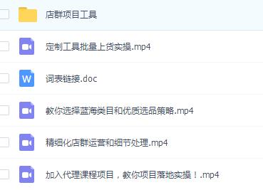 2019年VIP店群总裁班-精细化店群运营（视频+文档+工具）